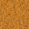 MIYUKI Round Rocailles Beads SEED-G007-RR0007-2