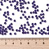 MIYUKI Round Rocailles Beads X-SEED-G008-RR0176-4