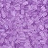 FGB Frosted Transparent Glass Seed Beads SEED-N013-05A-07-3