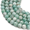 Natural Amazonite Beads Strands G-C280-B13-8mm-4