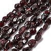 Natural Garnet Beads Strands G-P601-A10-02-2
