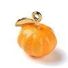 304 Stainless Steel Charms STAS-D203-02G-2