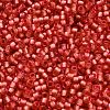 TOHO 6/0 Round Beads X-SEED-TR06-2201-4