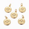 Brass Charms ZIRC-L070-63G-1