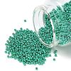 MIYUKI Round Rocailles Beads X-SEED-G007-RR5105-1