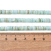 Dyed Natural Freshwater Shell Beads Strands SH-CBA2978-05C-4