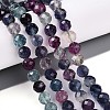 Natural Rainbow Fluorite Beads Strands G-T140-22B-2