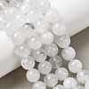 Natural Rainbow Moonstone Beads Strands G-D340-A01-10mm-1