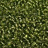 8/0 Glass Seed Beads X2-SEED-A005-3mm-24-2
