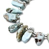 Natural Larimar Beads Strands G-Z091-A09-4