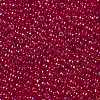 TOHO Round Seed Beads X-SEED-TR11-0165B-2