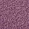 MIYUKI Round Rocailles Beads X-SEED-G008-RR0645-4
