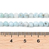 Natural Larimar Beads Strands G-B175-D08-4mm-5