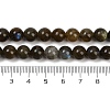 Natural Labradorite Beads Strands G-I253-01-8mm-5