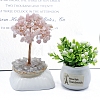 Natural Rose Quartz Sculpture Display Decorations PW-WG5AC3E-02-1