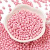 Baking Painted Glass Seed Beads SEED-C004-01U-2