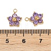 304 Stainless Steel Micro Pave Cubic Zirconia Charms STAS-B088-01G-05-3