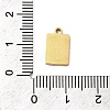 304 Stainless Steel Enamel Charms LS-STAS-I336-22G-3