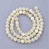 Natural Sea Shell Beads Strands SSHEL-S252-03-2