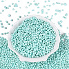 Opaque Glass Seed Beads GLAA-Q119-01-A04-2