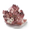 Natural Conch Shell Display Decorations AJEW-H126-06-2