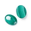 Natural Malachite Cabochons G-E557-03J-1