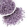 6/0 Transparent Inside Colours Glass Seed Beads SEED-N006-003L-1