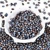 Picasso Glass Seed Beads SEED-N012-10N-2