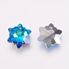 K9 Glass Rhinestone Pendants GLAA-F083-03B-02-2