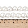 Electroplated Shell Pearl Beads Strands BSHE-G027-13B-5