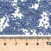 MIYUKI Delica Beads SEED-X0054-DB2408-3