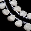 Natural Rainbow Moonstone Beads Strands G-C292-A01-01-2