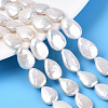 Baroque Natural Nucleated Pearl Keshi Pearl Beads Strands PEAR-S020-Z07-1