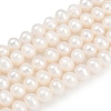 Natural Cultured Freshwater Pearl Beads Strands PEAR-I007-07X-02A-2