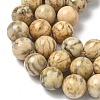Natural Feldspar Beads Strands G-F818-A06-16mm-02-4