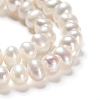 Natural Cultured Freshwater Pearl Beads Strands PEAR-I004-03-3