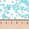 6/0 Luminous Glass Seed Beads SEED-NH0001-01N-5