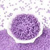 FGB Frosted Transparent Glass Seed Beads SEED-N013-04A-07-2