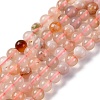 Natural Cherry Blossom Agate Beads Strands G-B130-6mm-02-1