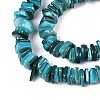 Natural Freshwater Shell Beads Strands SHEL-T020-40D-3