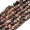 Natural Leopard Skin Jasper Beads Strands G-B161-A03-2