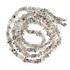 Natural Black Strawberry Quartz Chip Beads Strands G-B160-A03-3