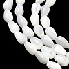 Natural White Shell Beads Strands SH-CBAF49A-03-3
