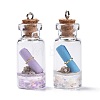 Glass Wishing Bottle Pendant Decorations A-GLAA-S181-02-3