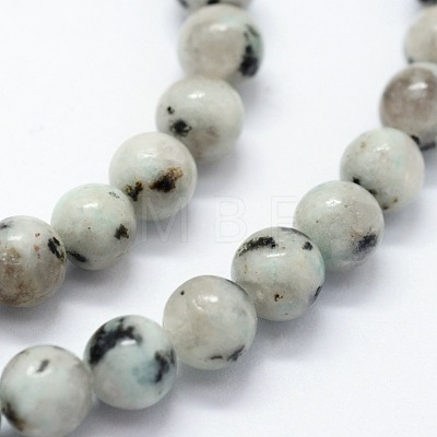 Natural Sesame Jasper/Kiwi Jasper Beads Strands X-G-I199-29-8mm-1