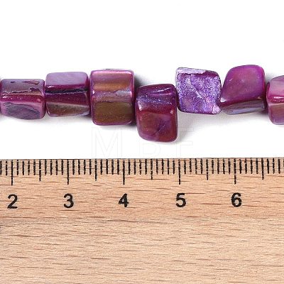 Dyed Natural Freshwater Shell Beads Strands SHEL-P016-01D-1