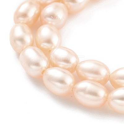 Natural Cultured Freshwater Pearl Beads Strands PEAR-P062-06G-1