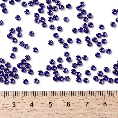 MIYUKI Round Rocailles Beads X-SEED-G008-RR0176-1