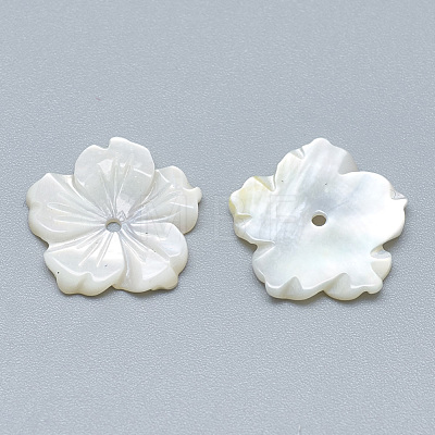 Natural White Shell Beads SSHEL-S260-080-1