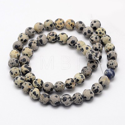 Natural Dalmatian Jasper Beads Strands G-D685-8mm-1